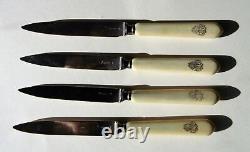 19th France ODIOT Great Service Fruit knife Sterling Silver synthetic handle