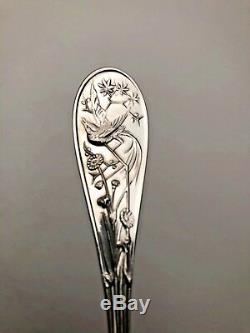 Audubon by Tiffany Sterling Silver Serving / Casserole Spoon