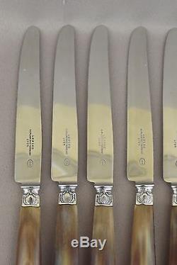 French Sterling Silver & Horn Handle 12 Fruit Dessert Knives Knife Set in Case