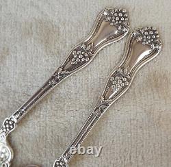 Grape by Dominick & Haff 8 3/4 Sterling robust serving set no mono circa 1895