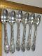 Tiffany & Co Chrysanthemum Sterling Silver Tea Spoons. Up To 12