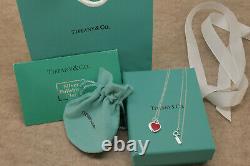 Tiffany & Co Sterling Silver Chain Necklace with tag and packages