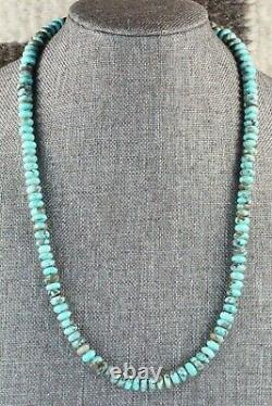 Turquoise & Sterling Silver Necklace Louise Joe