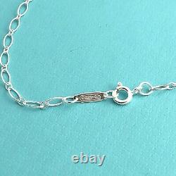 Nouveau Tiffany & Co 18 Sterling Silver Oval Link Chain Collier