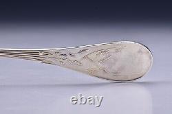 Tiffany And Co. Sterling Silver Audubon Place Spoon 7 1/4